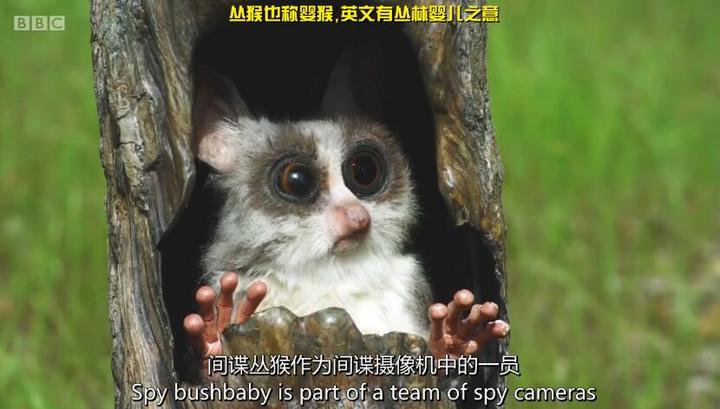 倒叙体考古现场