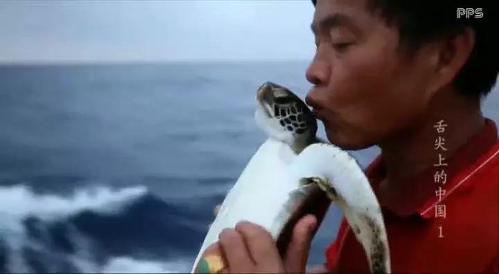 新能源汽车综艺解码手账